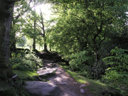 Alderley Edge