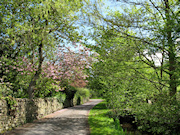 Beeley Village