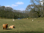 Coniston Water