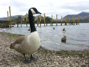 Derwent Water