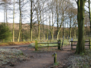 Macclesfield Forest