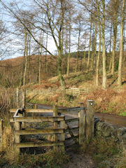 Macclesfield Forest