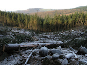 Macclesfield Forest