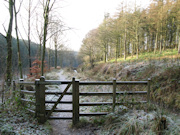 Macclesfield Forest