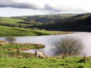 Goyt Valley