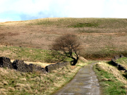 Goyt Valley