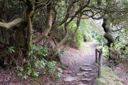 Goyt Valley