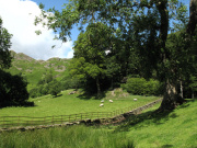 Loughrigg Tarn