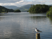 Windermere