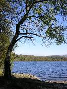 Bassenthwaite Lake