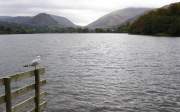 Grasmere