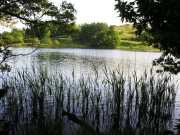 Loughrigg Tarn