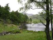 Blea Tarn