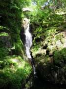 Aira Force