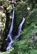 Stockghyll Force