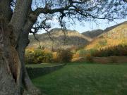 Buttermere