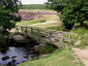 Longshaw