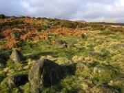 Longshaw Estate