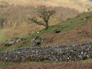 Monsal Trail Lime Kilns