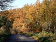 Macclesfield Forest, Road