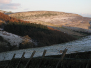 Macclesfield Forest