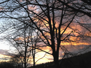 Macclesfield Forest