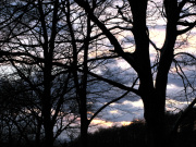 Macclesfield Forest