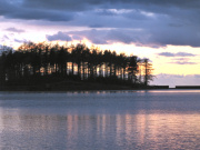 Macclesfield Forest