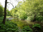 River Wye