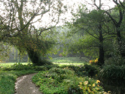 Norfolk Gardens