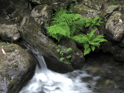 River Crafnant