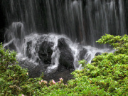 Bodnant Garden