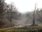 Lathkill dale