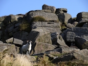 Stanage Edge