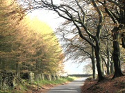 Goyt valley