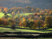 Curbar Edge