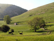 Dovedale