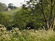 Manifold Valley