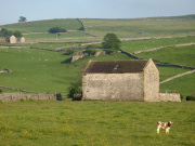 Hartington