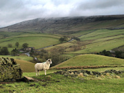 Peak District