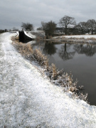 Bosley Locks