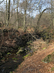 Strines Stream