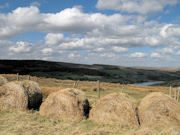 Dale Dike Reservoir View