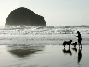 Trebarwith Strand