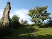 Wigmore Castle