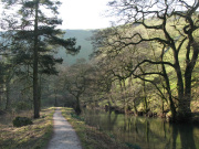 Wolfscotedale