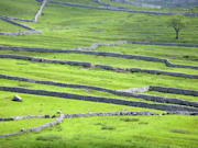 Yorkshire Dry Stone Walls