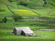 Field Barn, Yorkshire