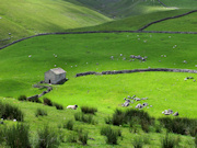 Yorkshire Dales